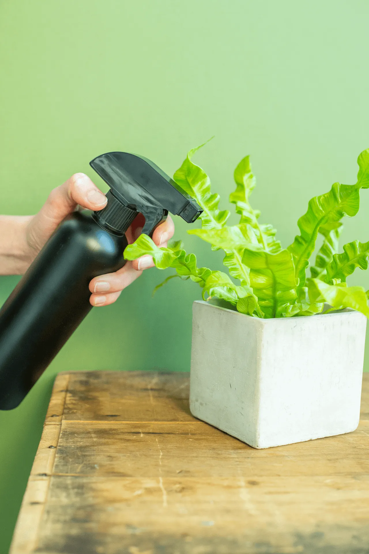 Spray Bottle: Black Matte